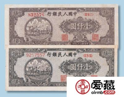 一版币冠号 品味趣味