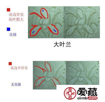 大叶兰水印特点诠释