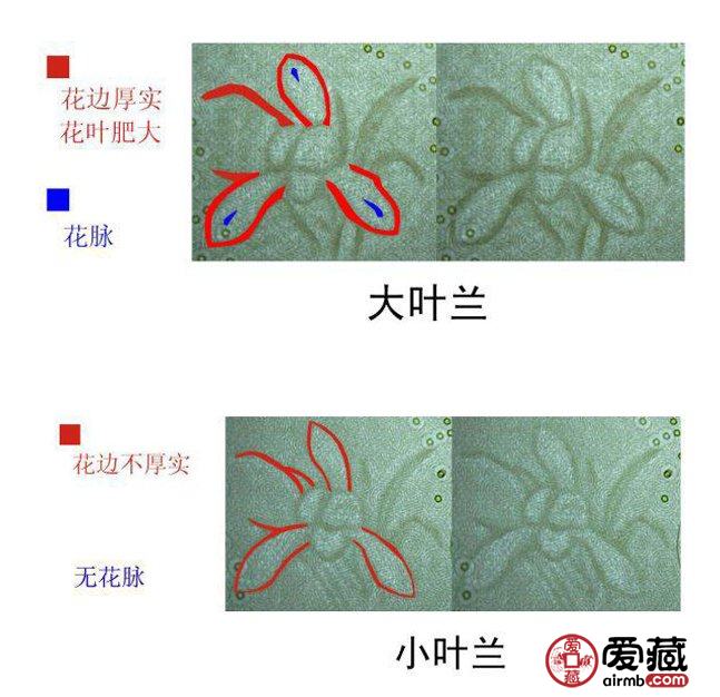 大叶兰水印特点诠释