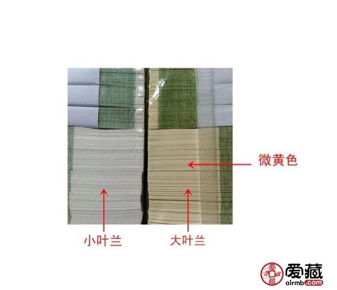 大叶兰和小叶兰——纸张辨别