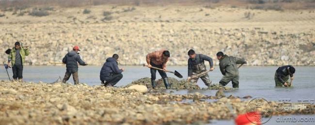 潘阳湖枯水古航道现古钱币