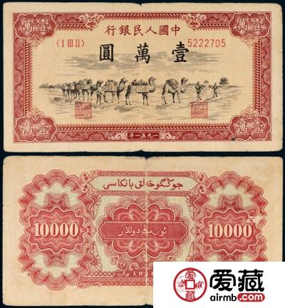壹万圆骆驼队价格【图片】