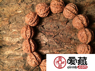 野生核桃