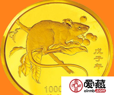 2008年公斤鼠价格图片
