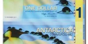 南极企鹅连体钞价格和图片