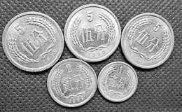 罕见的“五朵金花”，价值上万是真的