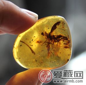 天然琥珀的图片价格及其注意事项分析