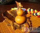 初入收藏应该如何选择收藏品种
