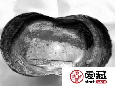 省藏协钱币专业委员会精品展