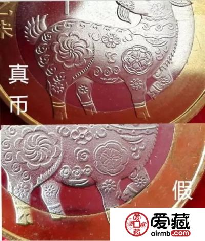 从领头羊辨别真假纪念币