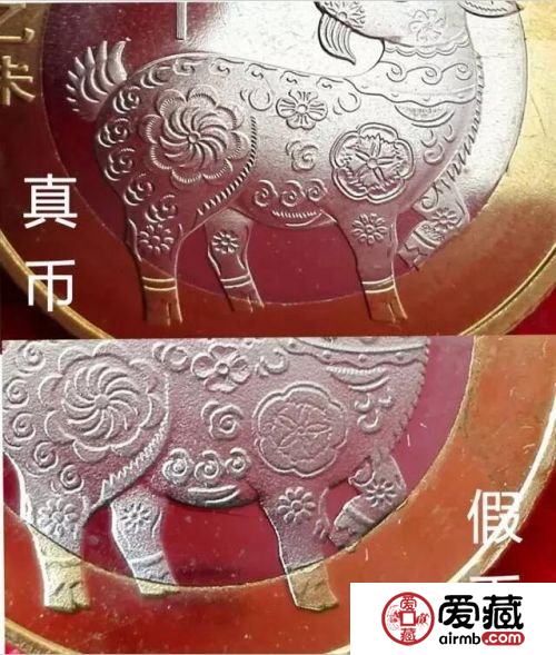 从领头羊辨别真假纪念币