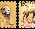 特种邮票 1993-3 《野骆驼》特种邮票