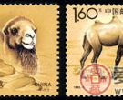 特种邮票 1993-3《野骆驼》特种邮票