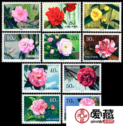 T字邮票 T37 云南山茶花