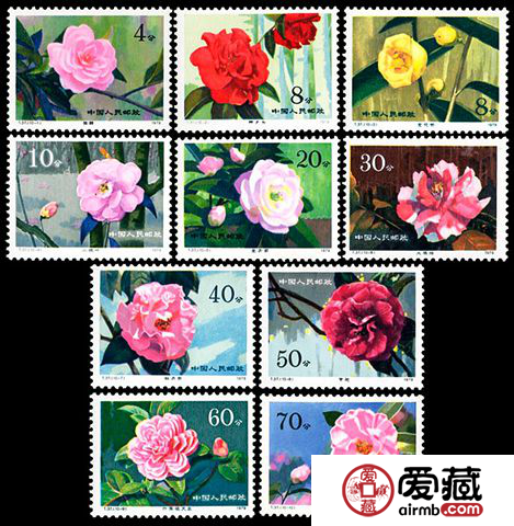 T字邮票 T37 云南山茶花