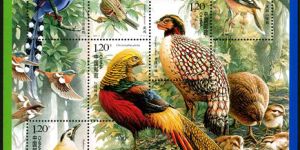 2008-4 《中国鸟》特种邮票