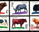 T63 畜牧业——牛邮票
