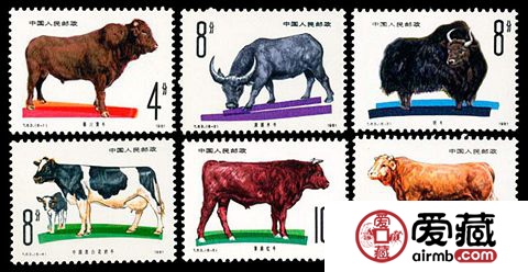 T63 畜牧业——牛邮票