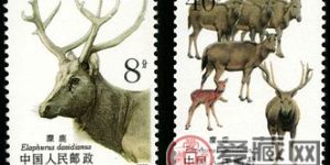 T132 麋鹿（有齿）邮票