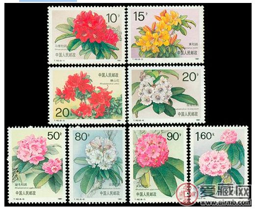 T162 杜鹃花 T162 杜鹃花