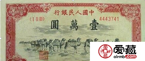 1万元骆驼队价格也上百万吗