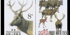 麋鹿无齿邮票收藏价值浅显分析