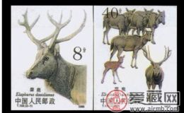 麋鹿无齿邮票收藏价值浅显分析
