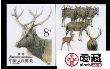 麋鹿无齿邮票收藏价值浅显分析