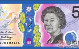 邮币控：澳元纸币长得太丑遭吐槽