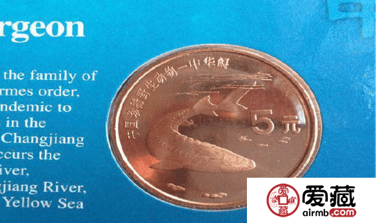 中华鲟康银阁卡币是世界环保的标志