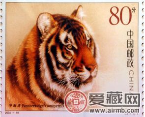 04华南虎小版倍受青睐的两大原因