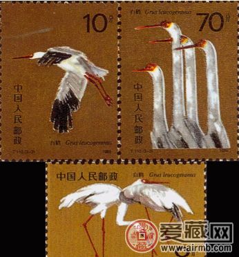 珍稀动物邮票白鹤