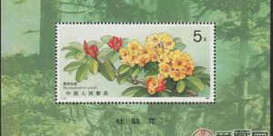 花开鸟鸣说杜鹃小型张