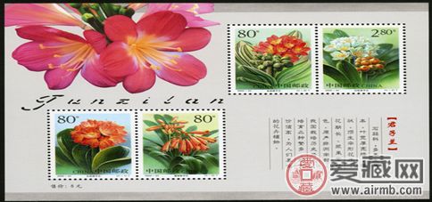 君子兰小型张招人稀罕