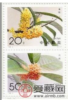 桂花无齿小型张前景良好