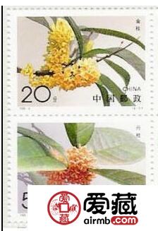 桂花无齿小型张前景良好