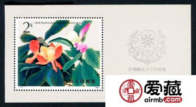 T111M木兰科植物小型张持续升值