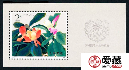 T111M木兰科植物小型张持续升值