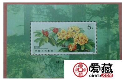 如花般美丽的T162M杜鹃花小型张