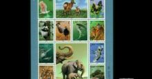 珍稀动物邮票解读收藏价值