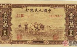 1000元耕地水印你值得拥有