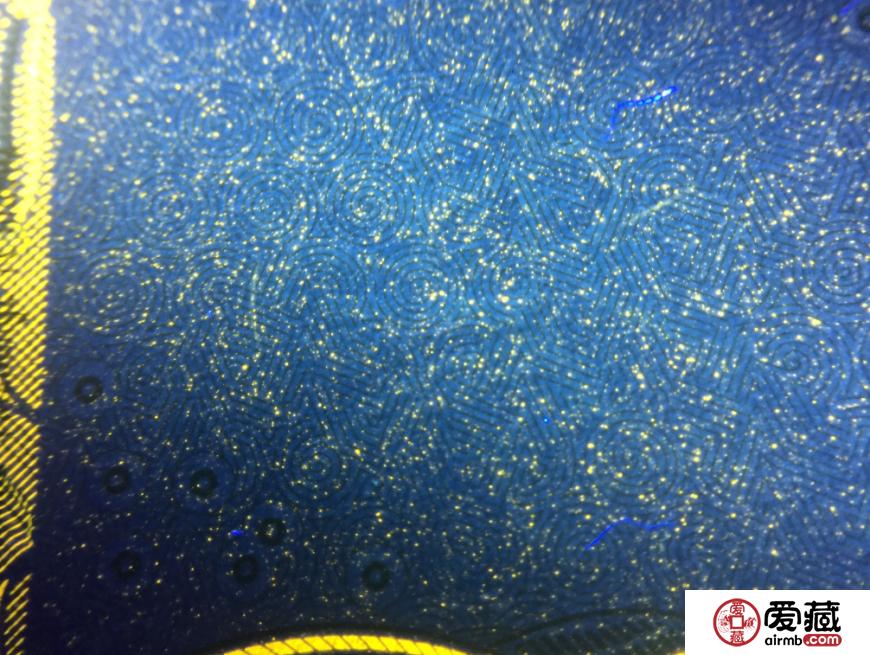 991荧光币品种之一强背金沙未来前景
