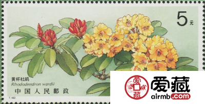 小型张邮票的设计独立欣赏价值高