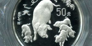 猪年5盎司银币的未来升值