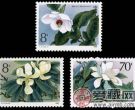 T111 珍稀濒危木兰科植物邮票