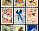 普31 中国鸟邮票