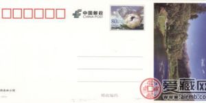 雪蓮片高山仰止好收藏