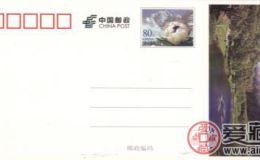 雪莲片高山仰止好收藏