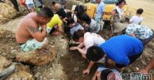 湖南工地现大量古钱 有村民挖一麻袋