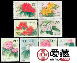 T162 杜鹃花收藏介绍